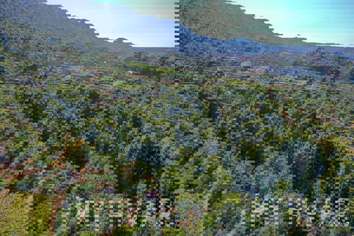 Terreno agricolo a Pitve Inferiore