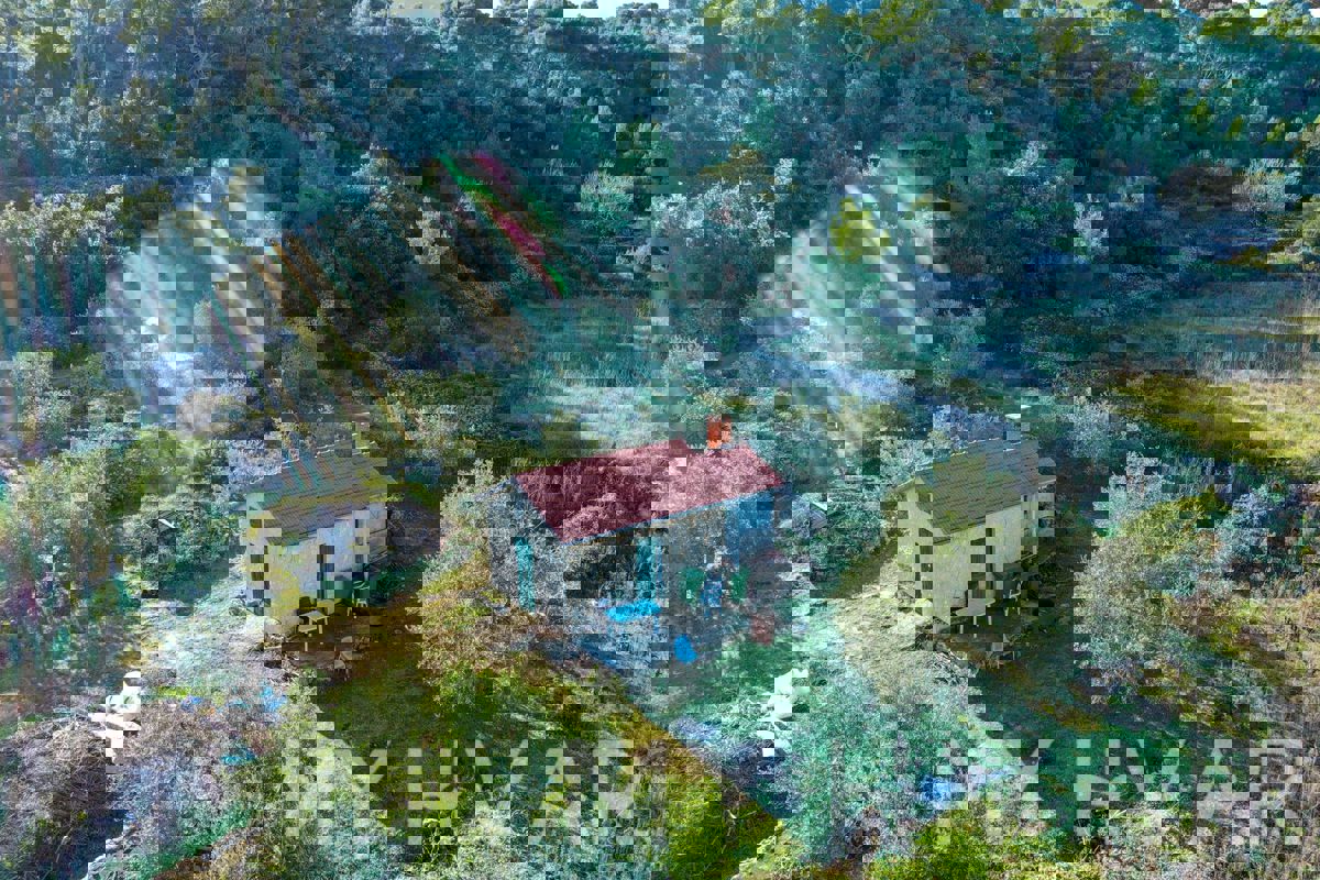 Uliveto e vigneto con casa