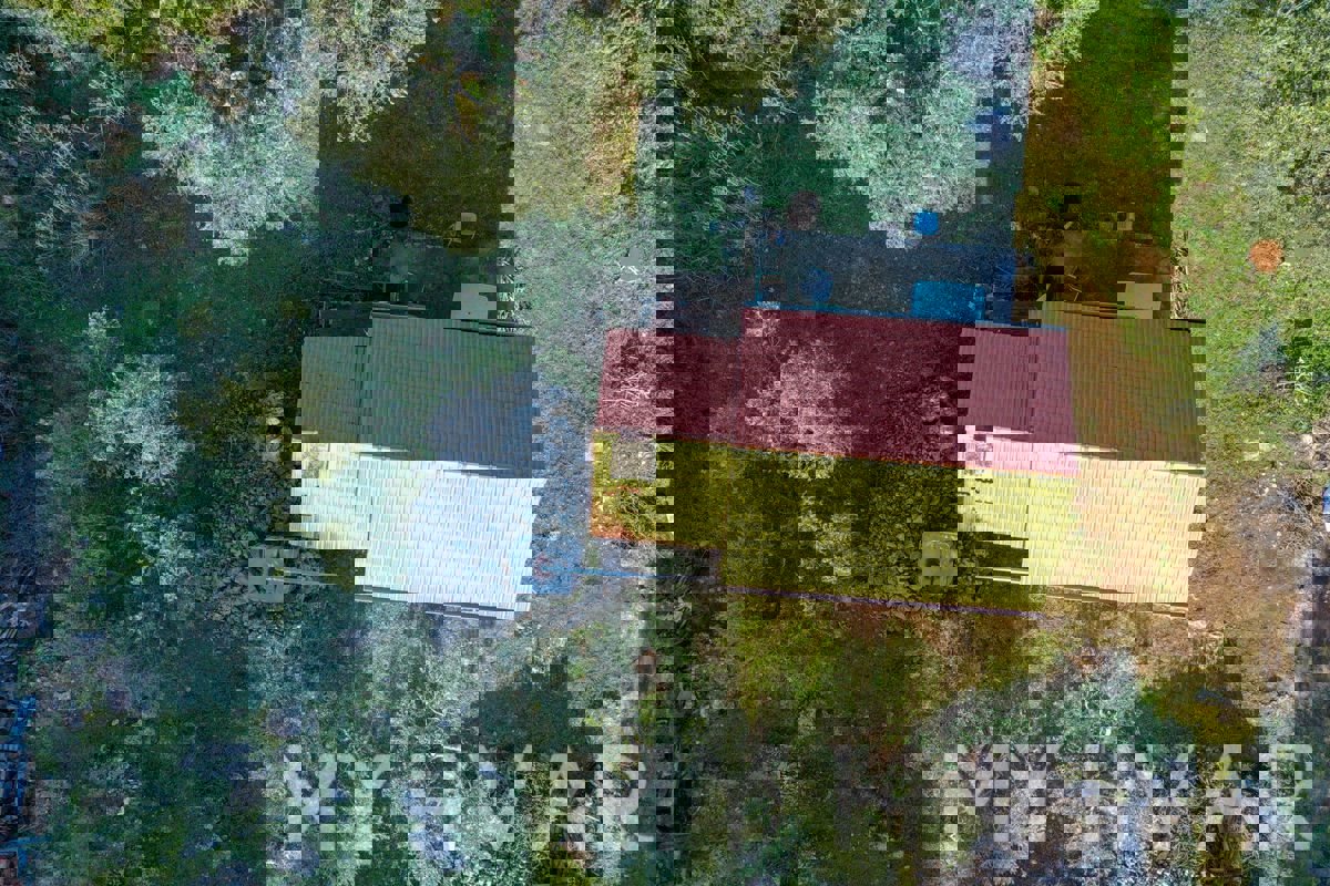 Uliveto e vigneto con casa