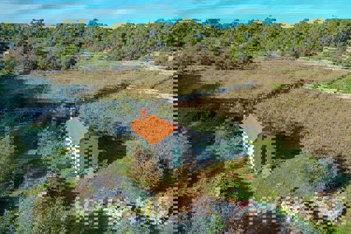 Uliveto e vigneto con casa