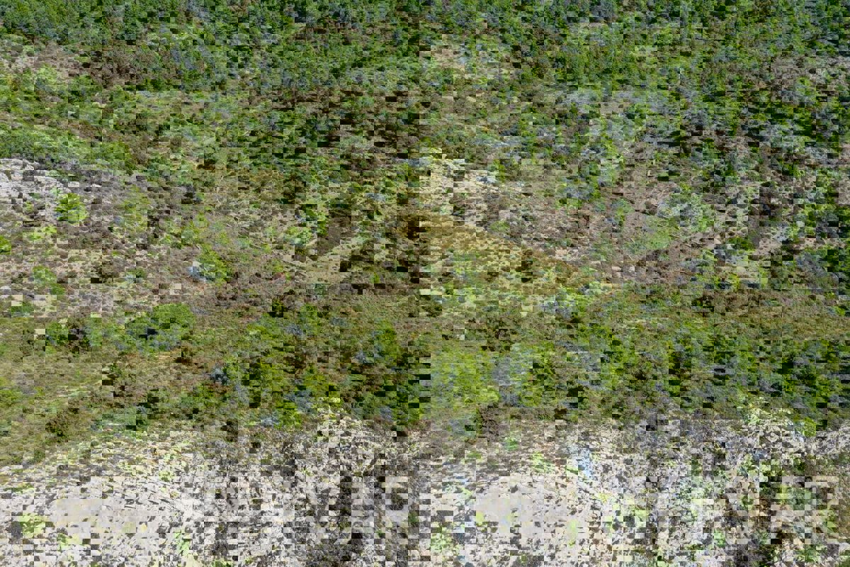 Terreno con vista panoramica e casa