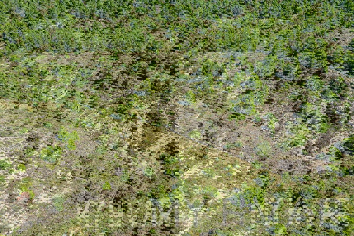 Terreno con vista panoramica e casa