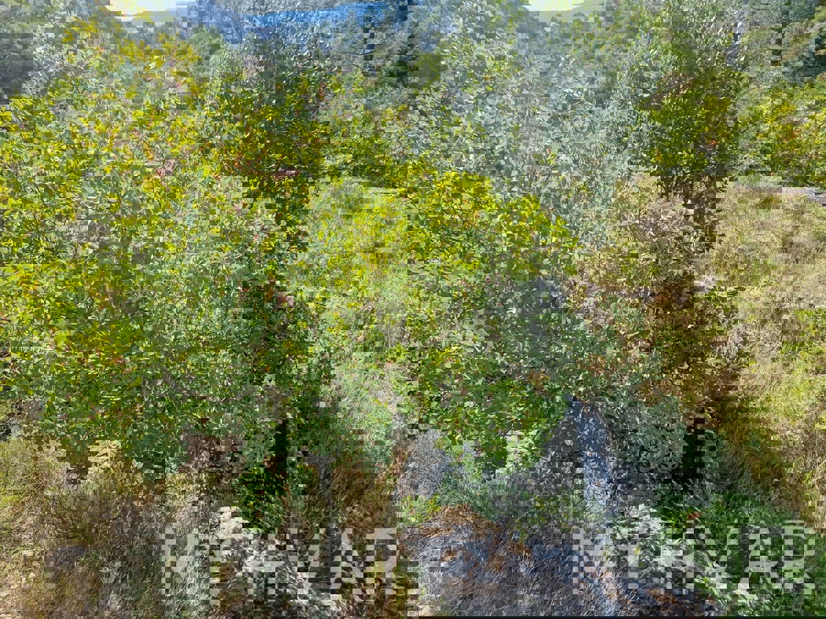 Terreno con vista panoramica e casa