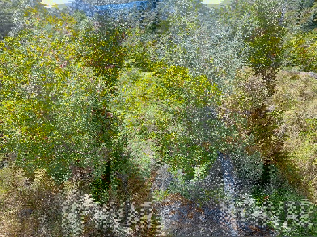 Terreno con vista panoramica e casa