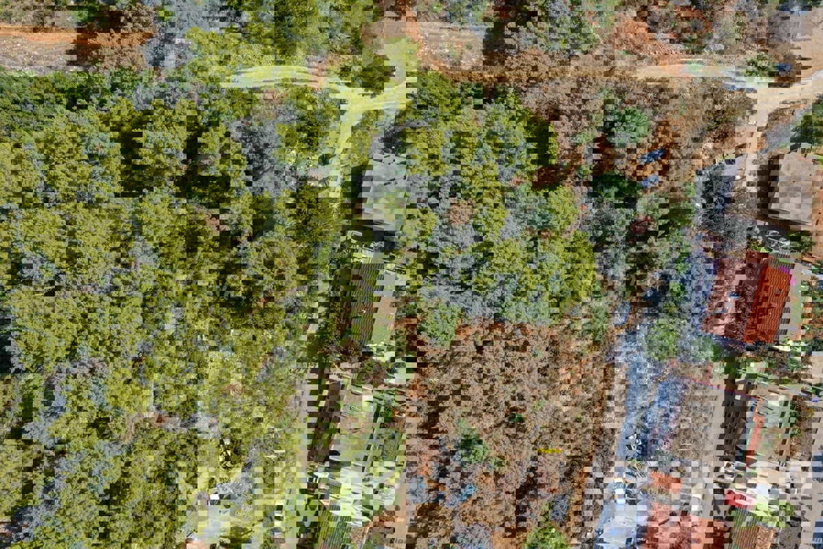 Terreno edificabile con vista mare