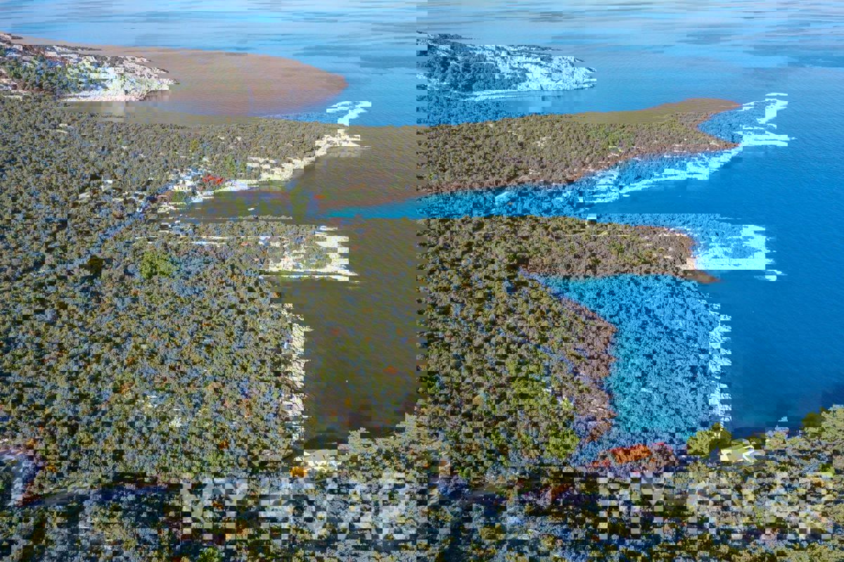 Uliveto nella baia di Pokrivenik