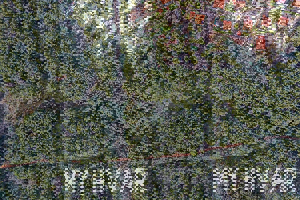 Terreno edificabile Zaglavica #1