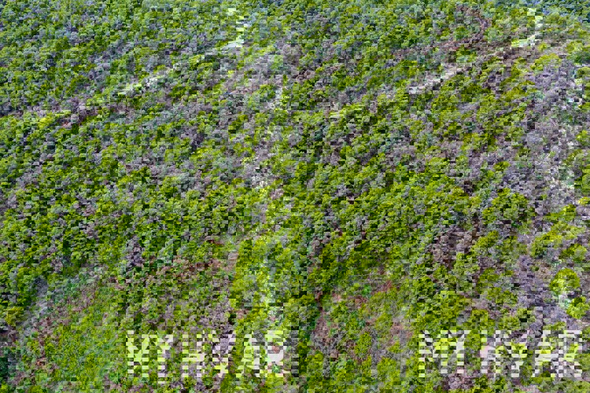 Terreno edificabile nella baia di Stiniva vicino a Brusje