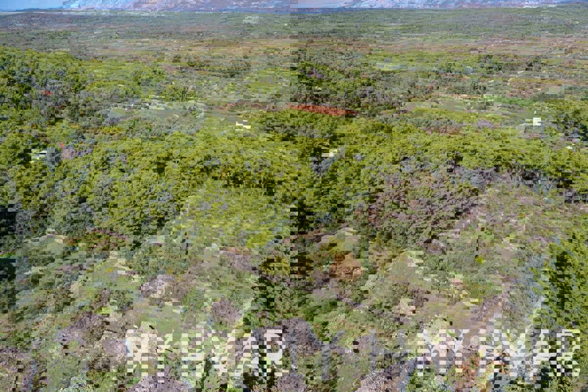 Terreno edificabile a Vrbanj #1