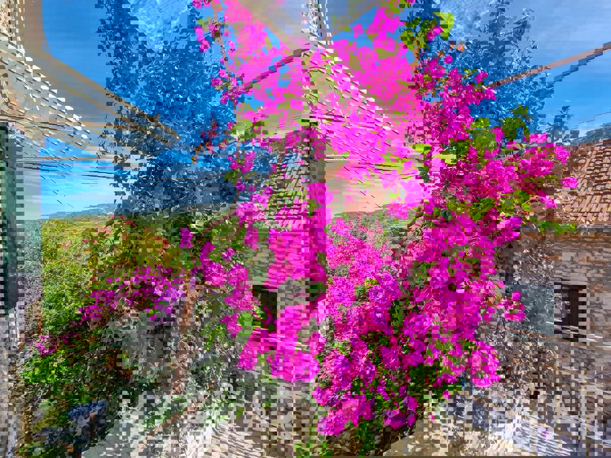 Casa in pietra con piscina coperta