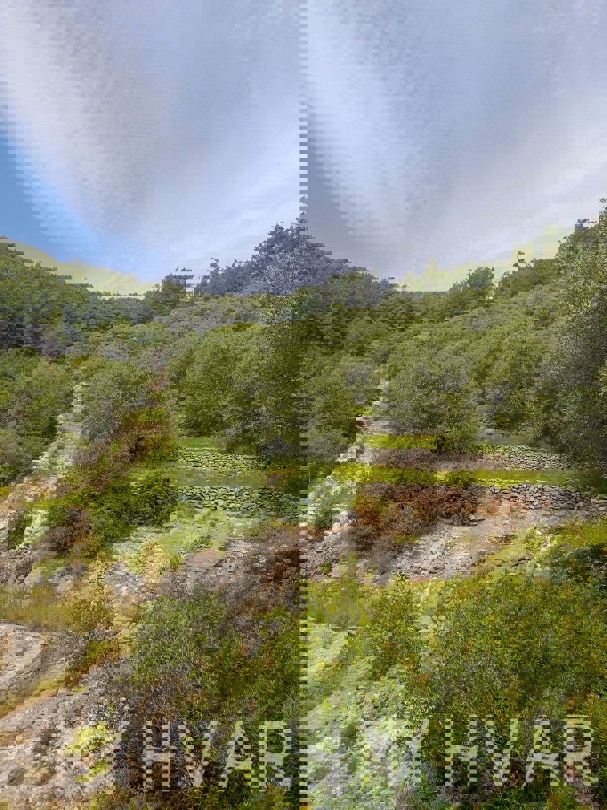 Ampio terreno agricolo a Korčula