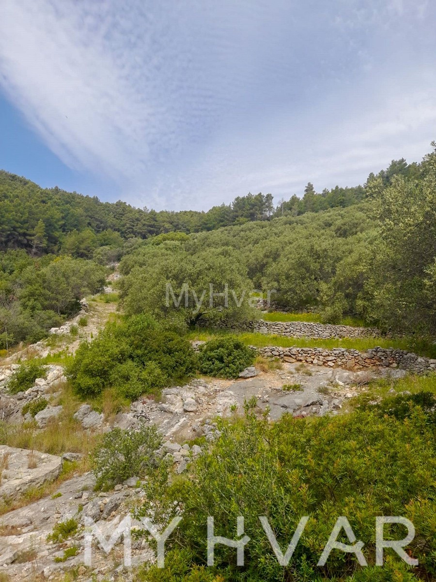 Ampio terreno agricolo a Korčula