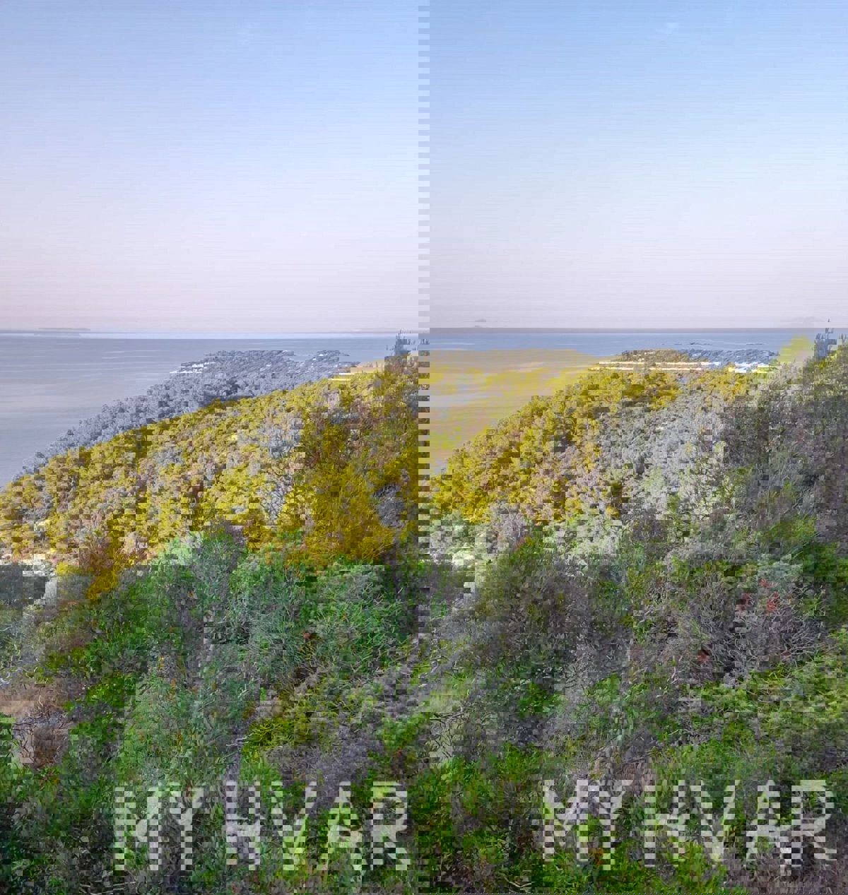 Ampio terreno agricolo a Korčula