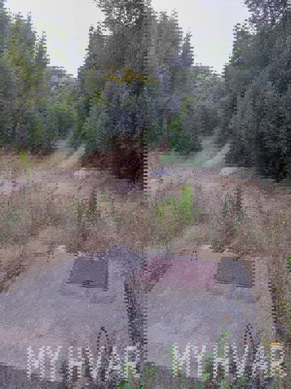 Ampio terreno agricolo a Korčula