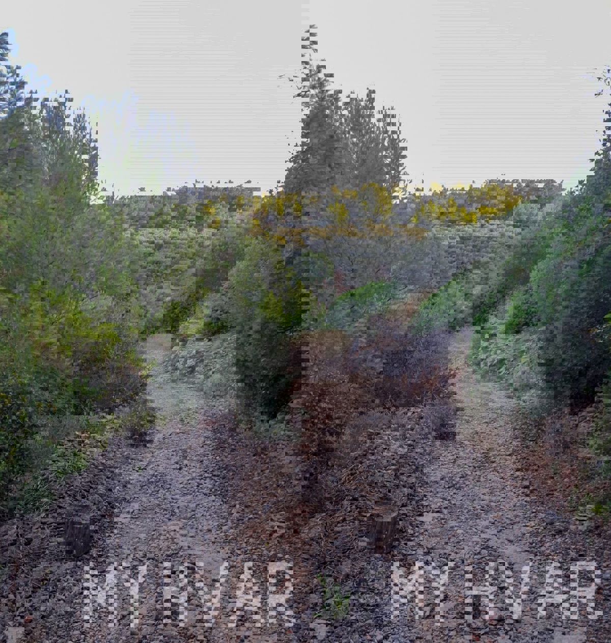 Ampio terreno agricolo a Korčula