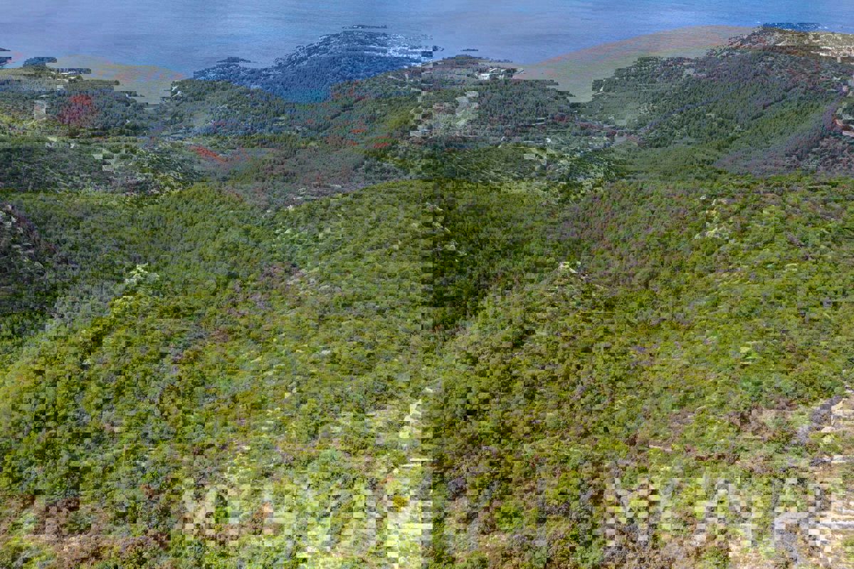 Terreni agricoli nel Naehe der Dorfes Humac