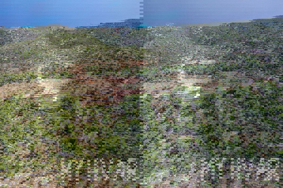 Terreni agricoli nel Naehe der Dorfes Humac