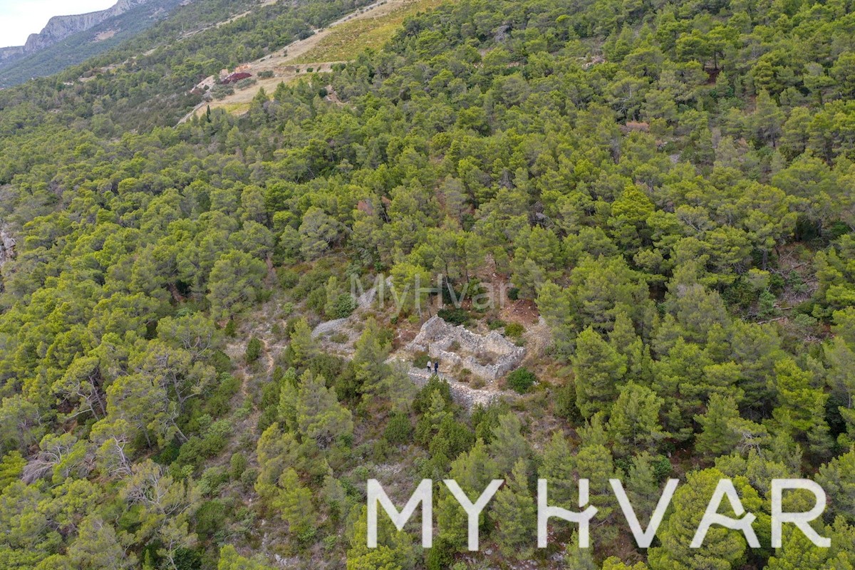 Splendida proprietà sulla scogliera sul lato sud dell'isola di Hvar