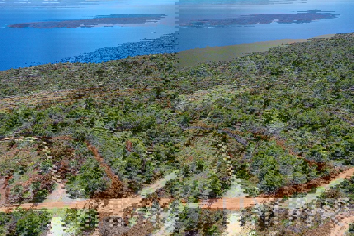 Terreni agricoli su Humac