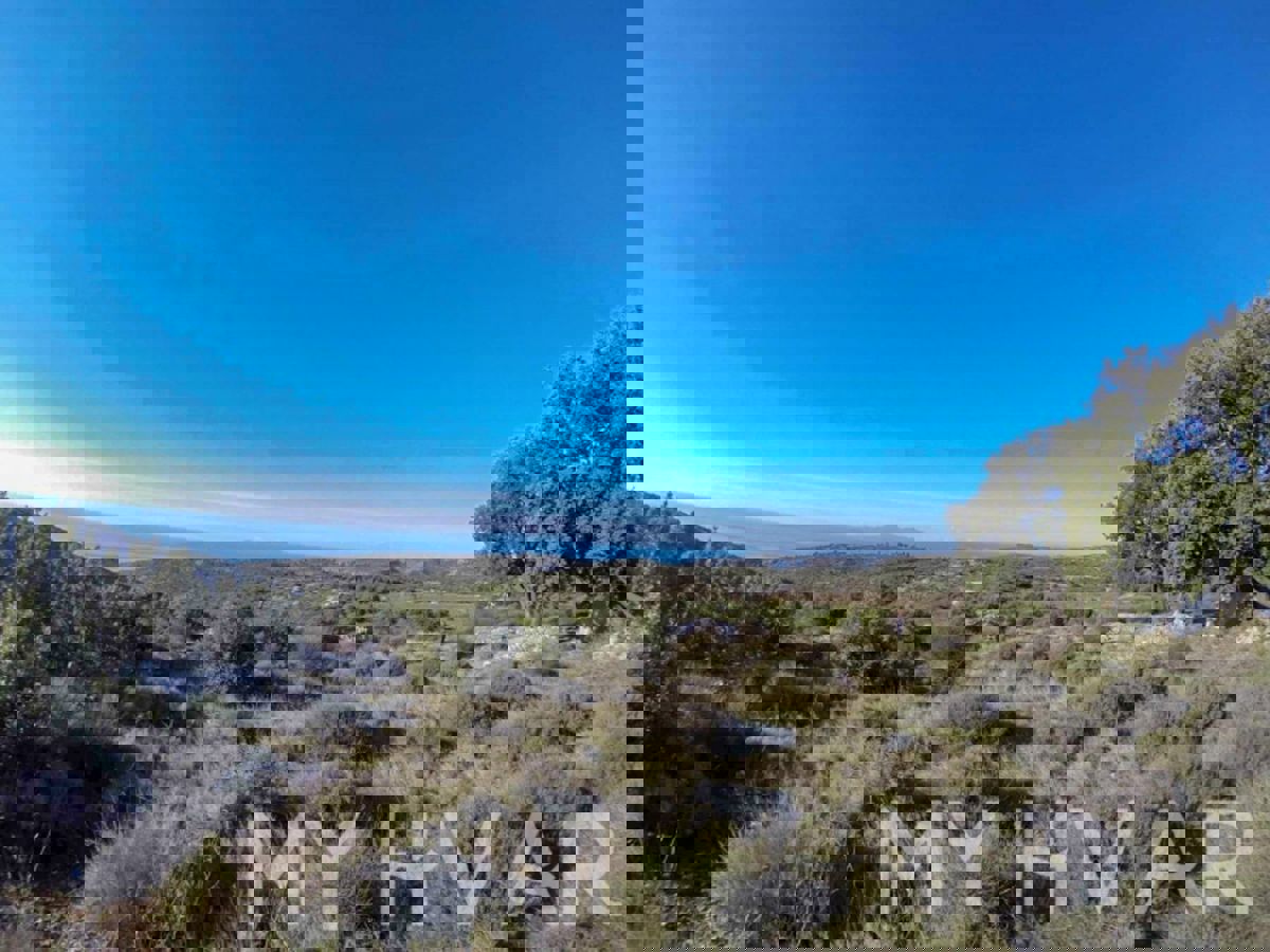 Terreno agricolo con capanna e vista mare