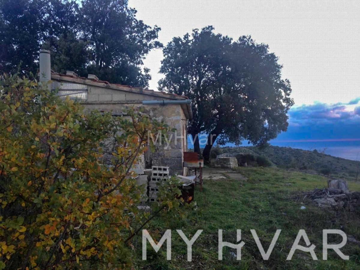 Terreno agricolo con capanna e vista mare