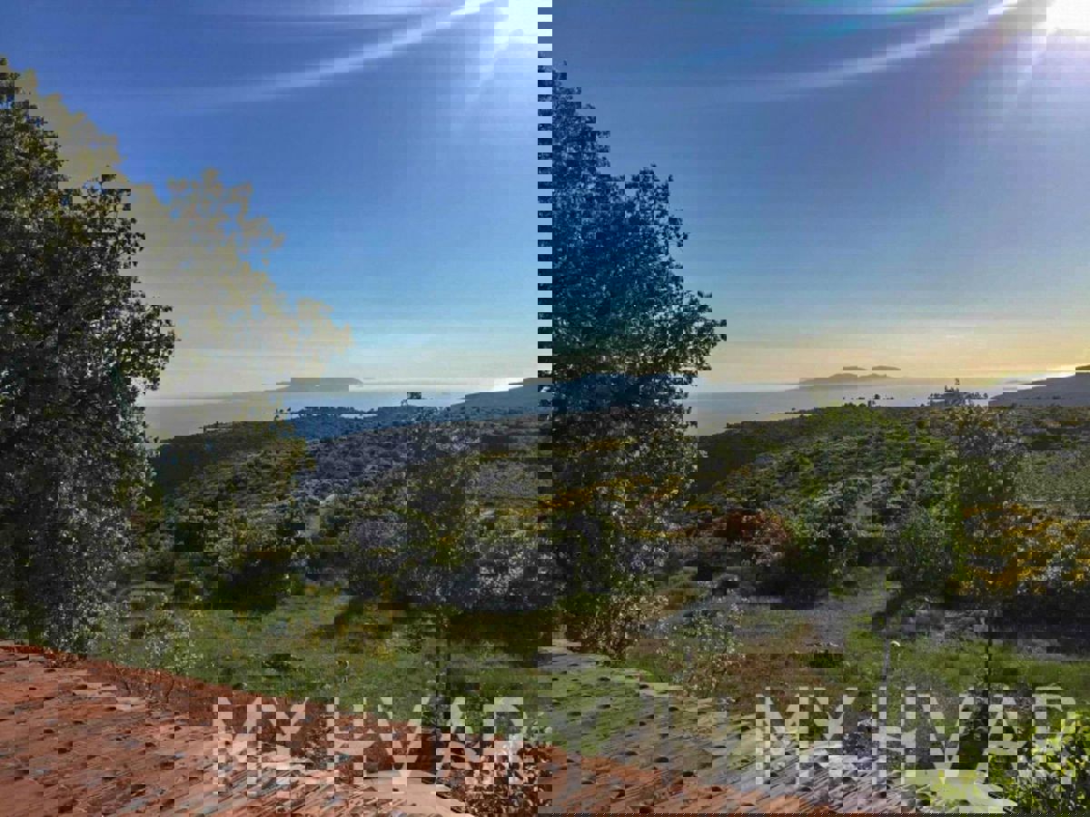 Terreno agricolo con capanna e vista mare