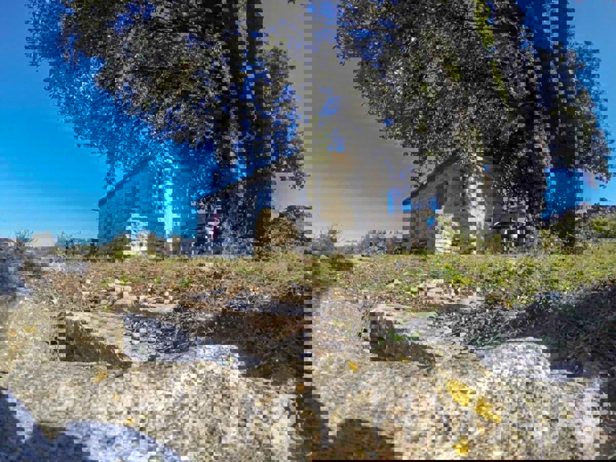 Terreno agricolo con capanna e vista mare