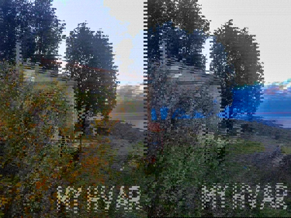 Terreno agricolo con capanna e vista mare