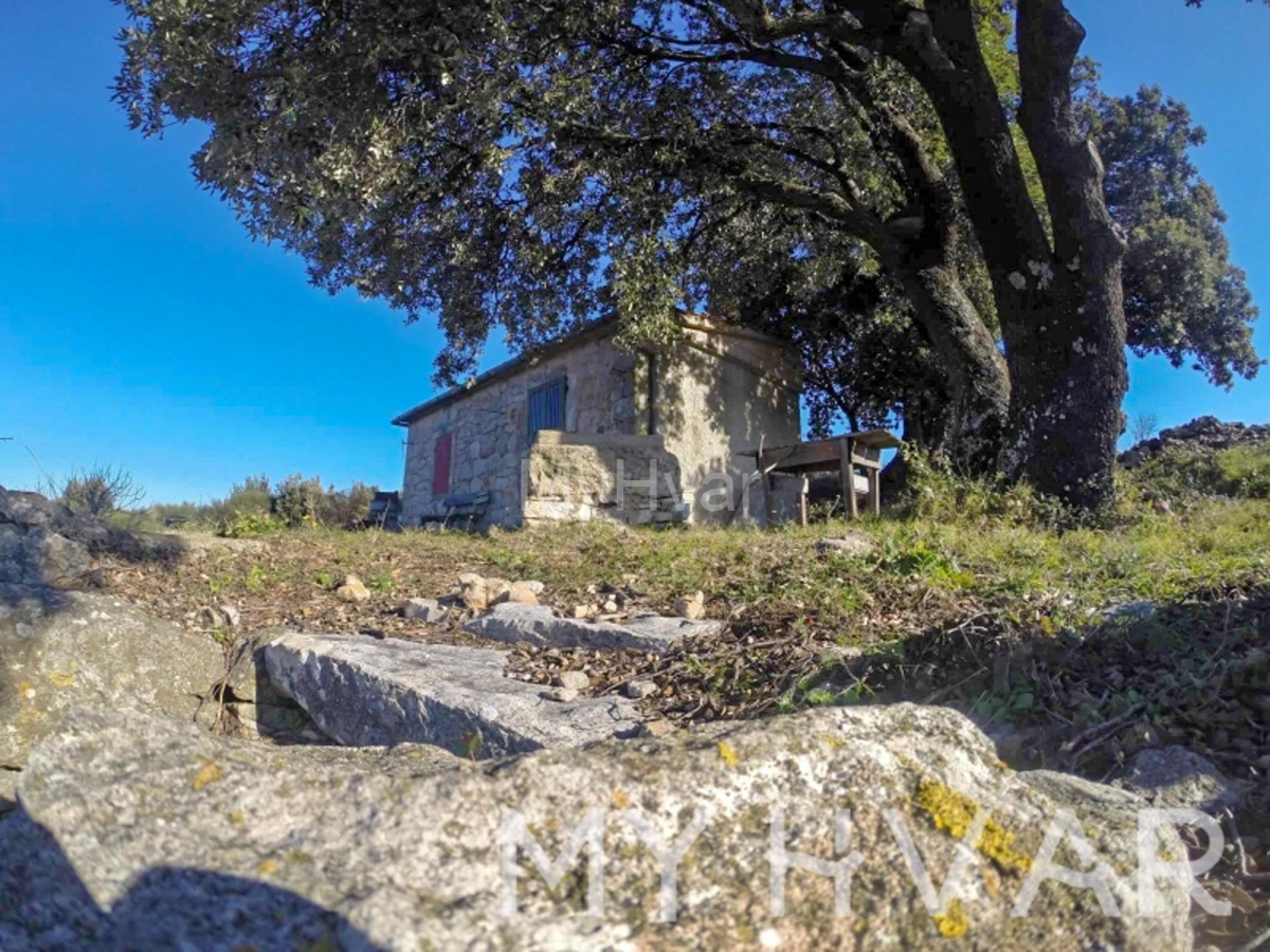 Terreno agricolo con capanna e vista mare