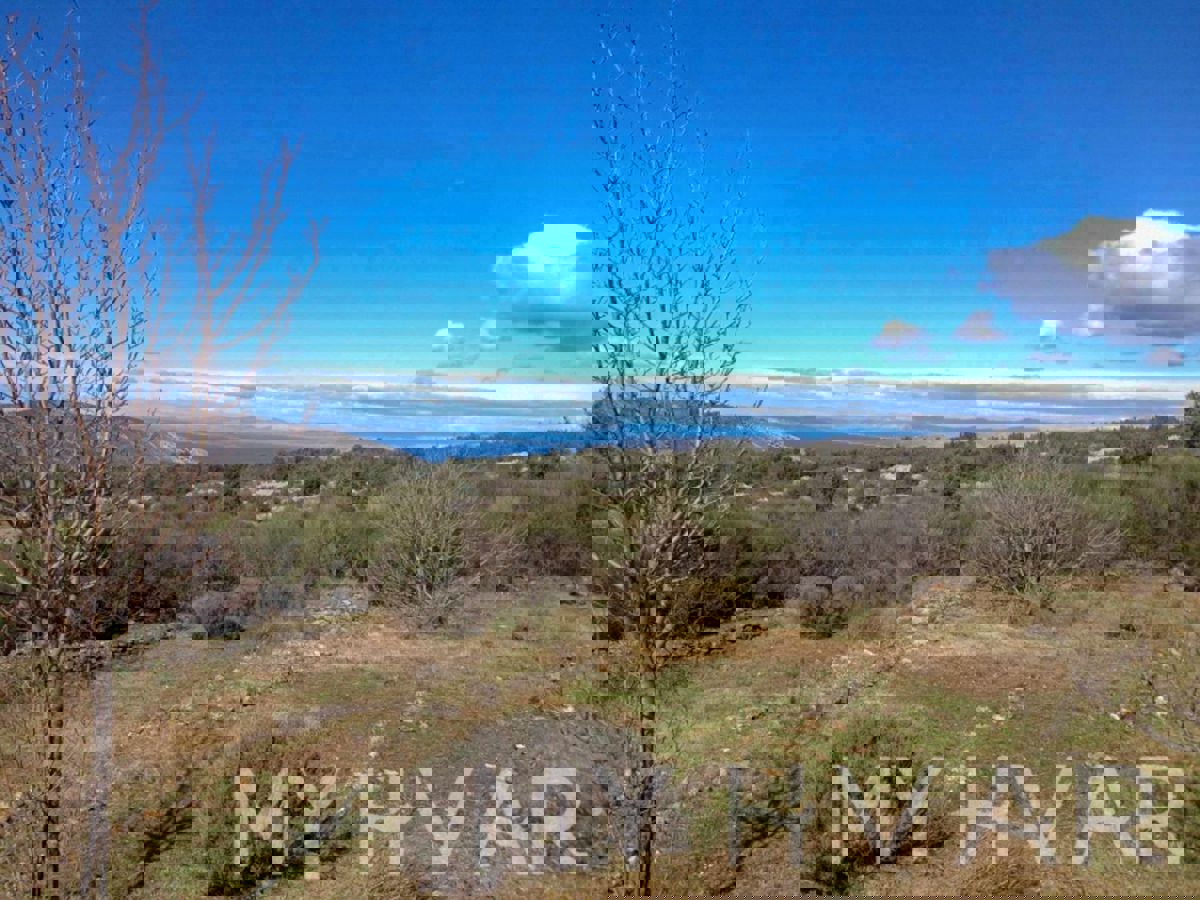 Terreno agricolo con capanna e vista mare