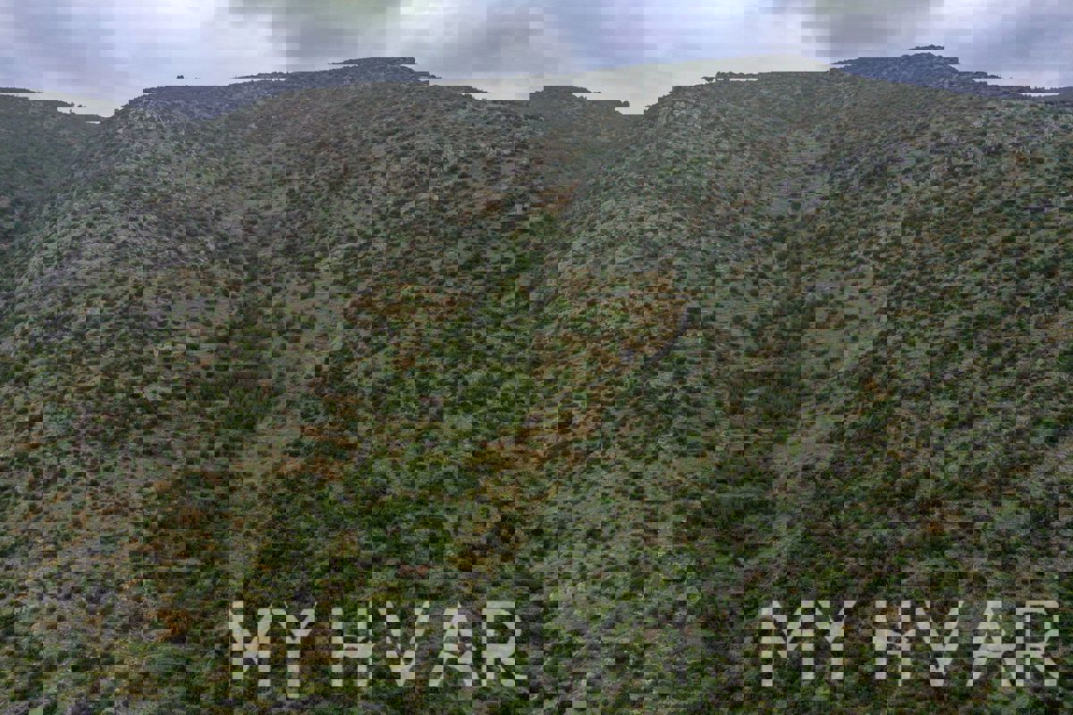 Terreno Vrbinka sopra il mare