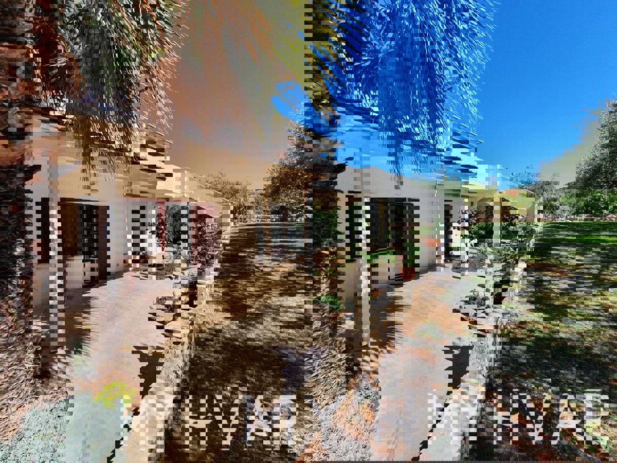 Appartamento al piano terra nel centro di Jelsa