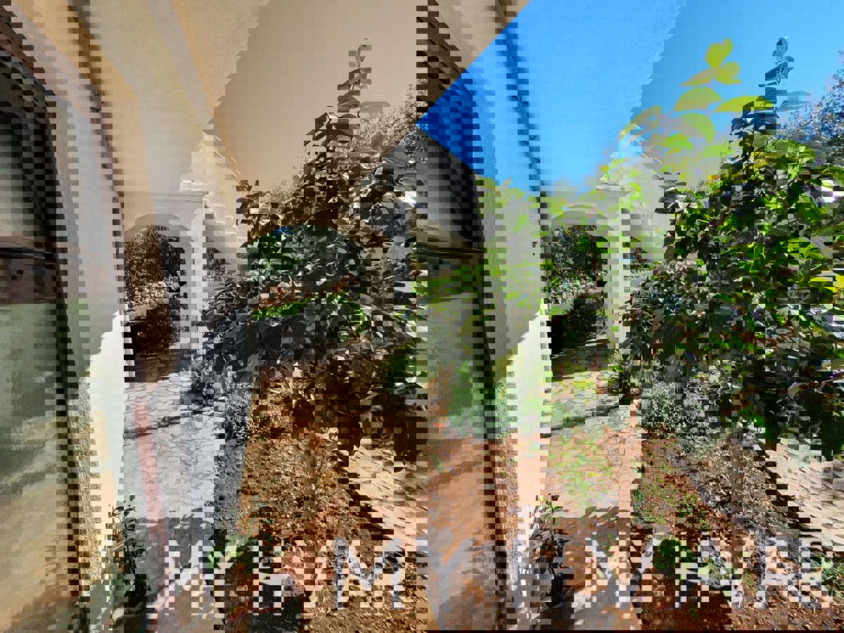 Appartamento al piano terra nel centro di Jelsa