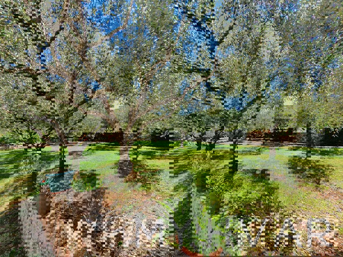 Appartamento al piano terra nel centro di Jelsa