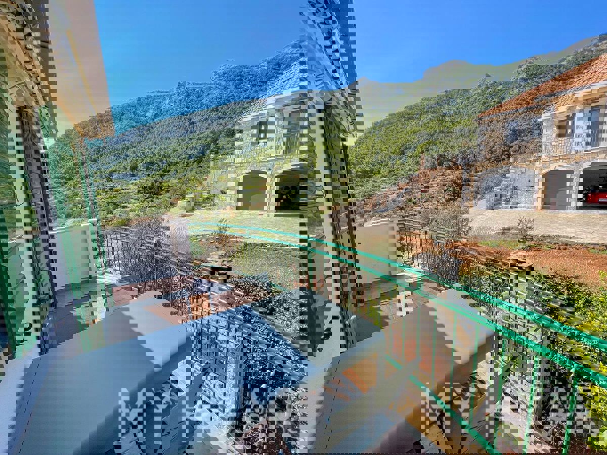 Casa familiare con piscina a Vrisnik