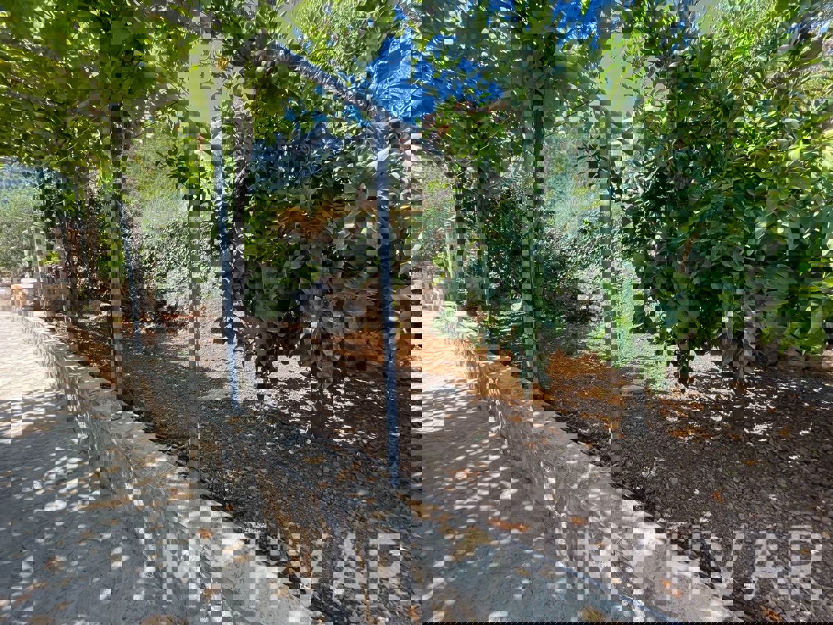 Casa familiare con piscina a Vrisnik