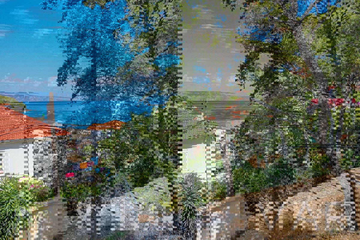 Terreno edificabile in centro con vista mare