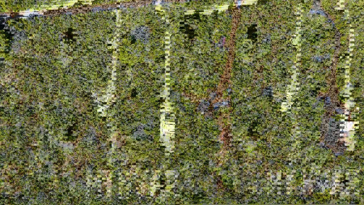 Casa in pietra con terreno agricolo circostante