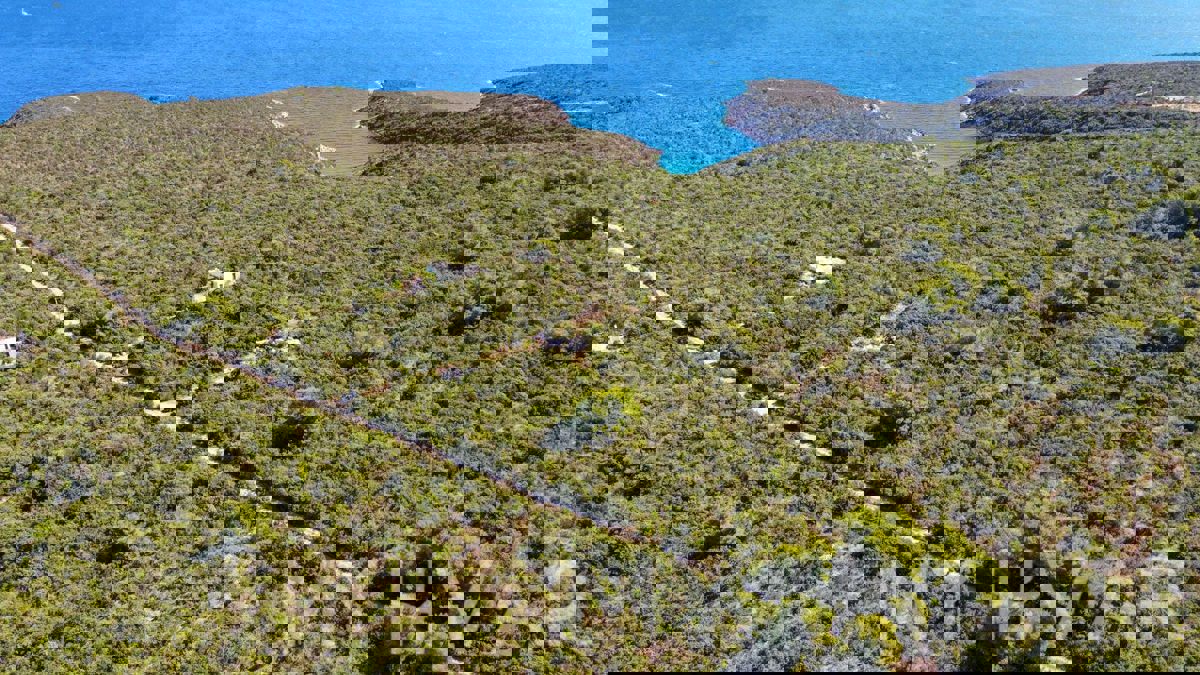 Casa in pietra con terreno agricolo circostante