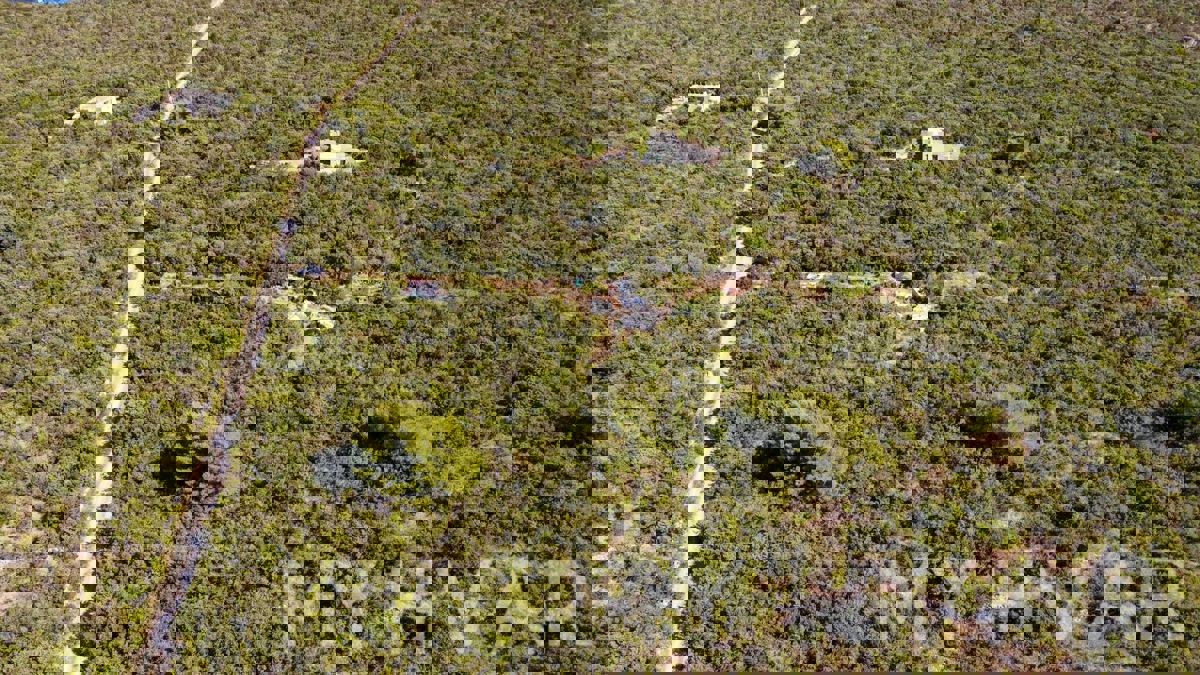 Casa in pietra con terreno agricolo circostante