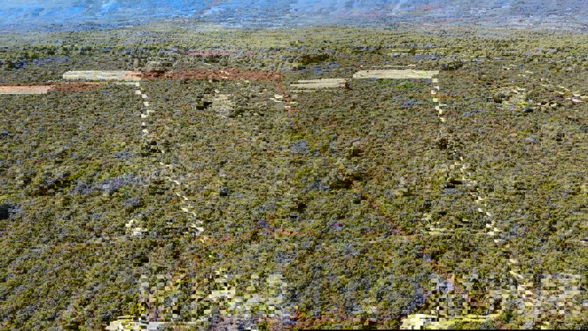 Casa in pietra con terreno agricolo circostante