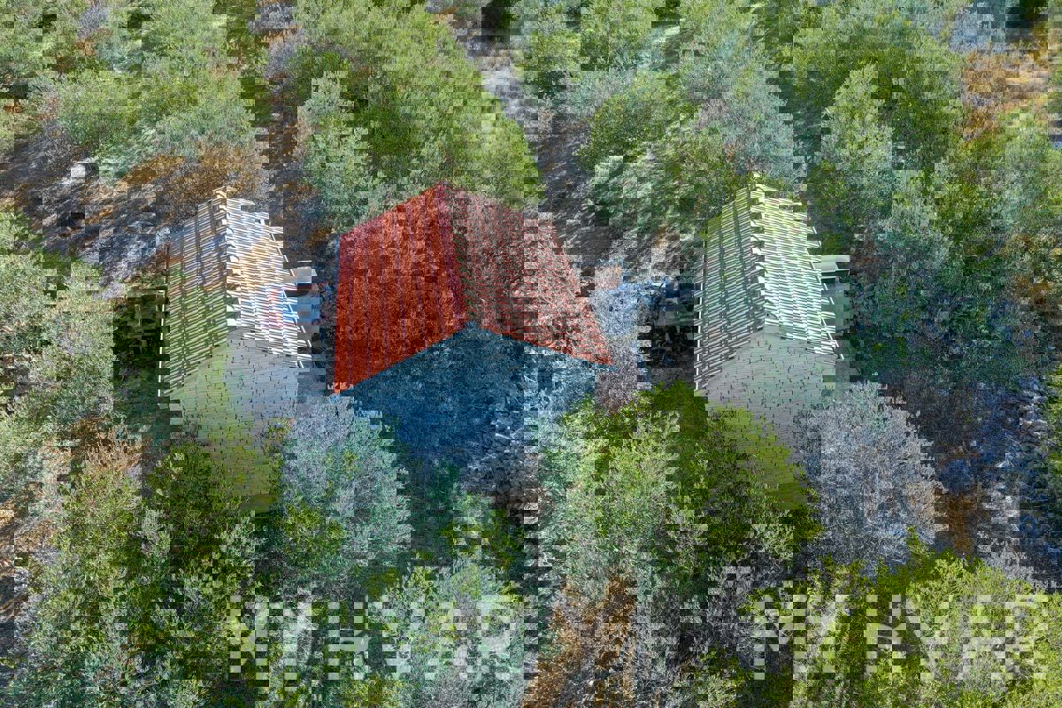 Uliveto con vista mare a Jelsa