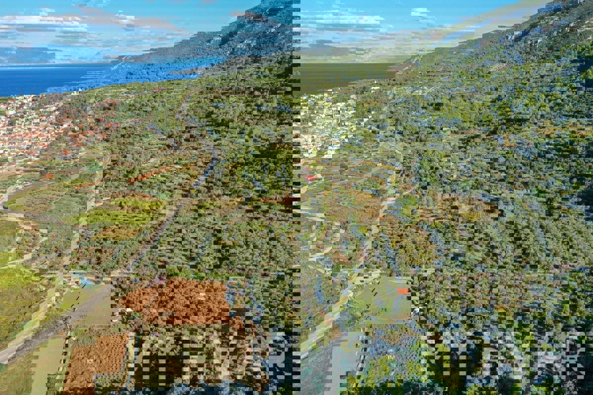 Uliveto con vista mare a Jelsa