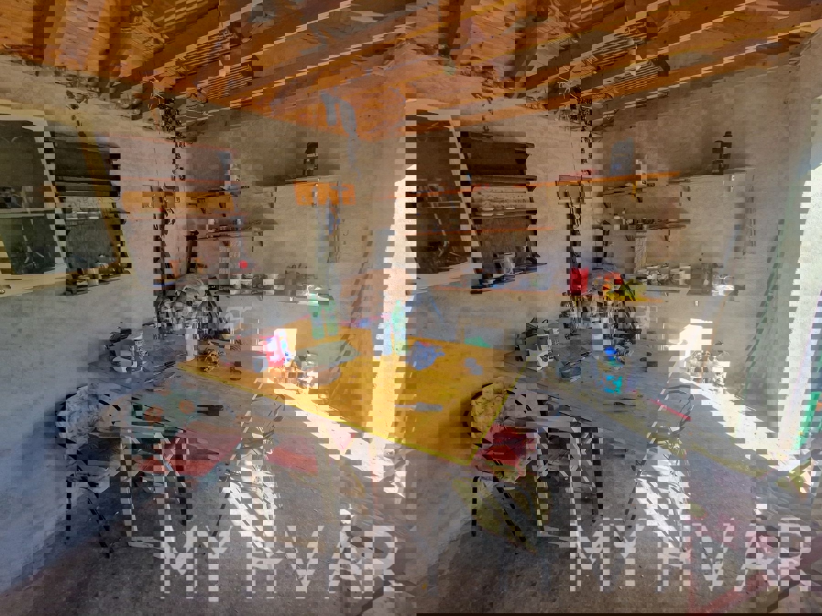 Uliveto con vista mare a Jelsa