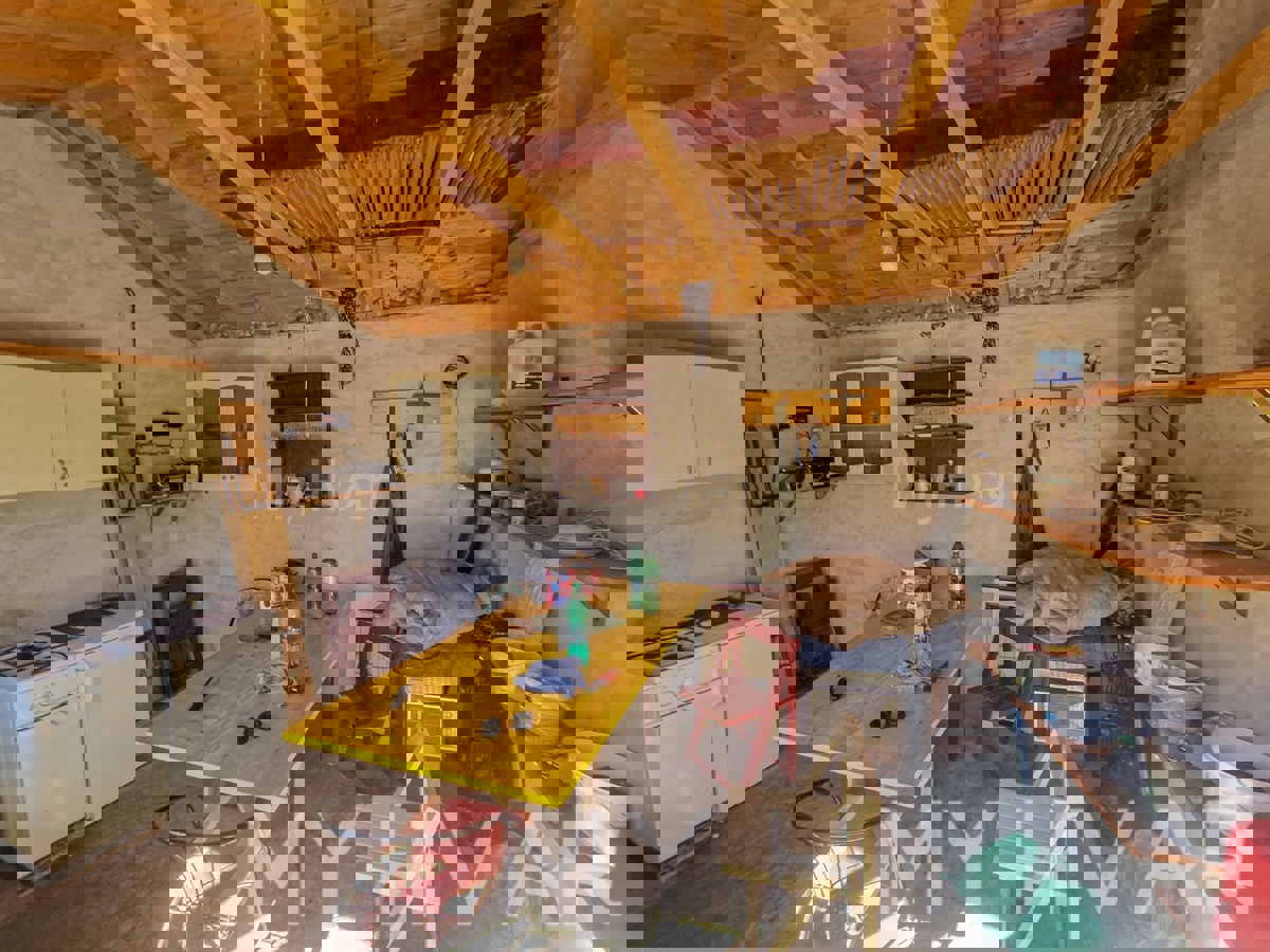 Uliveto con vista mare a Jelsa