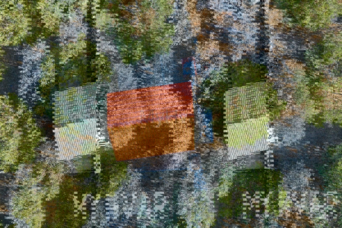 Uliveto con vista mare a Jelsa