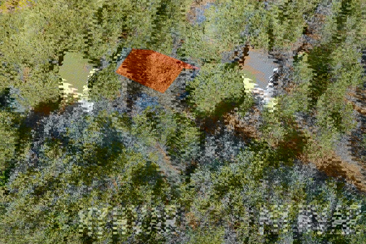 Uliveto con vista mare a Jelsa