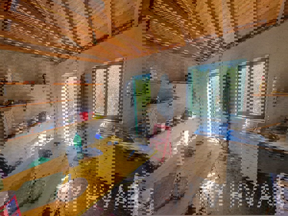 Uliveto con vista mare a Jelsa