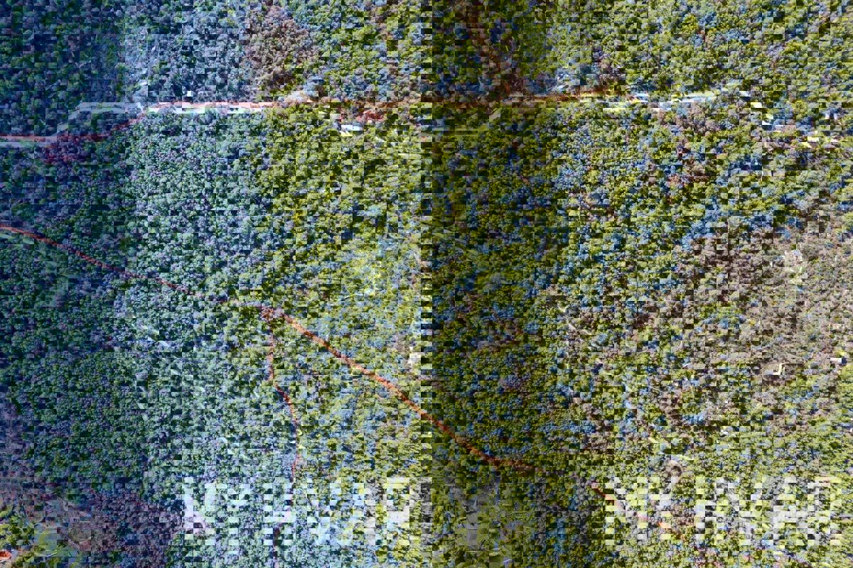 Terreno agricolo Rosohotnica a Basina