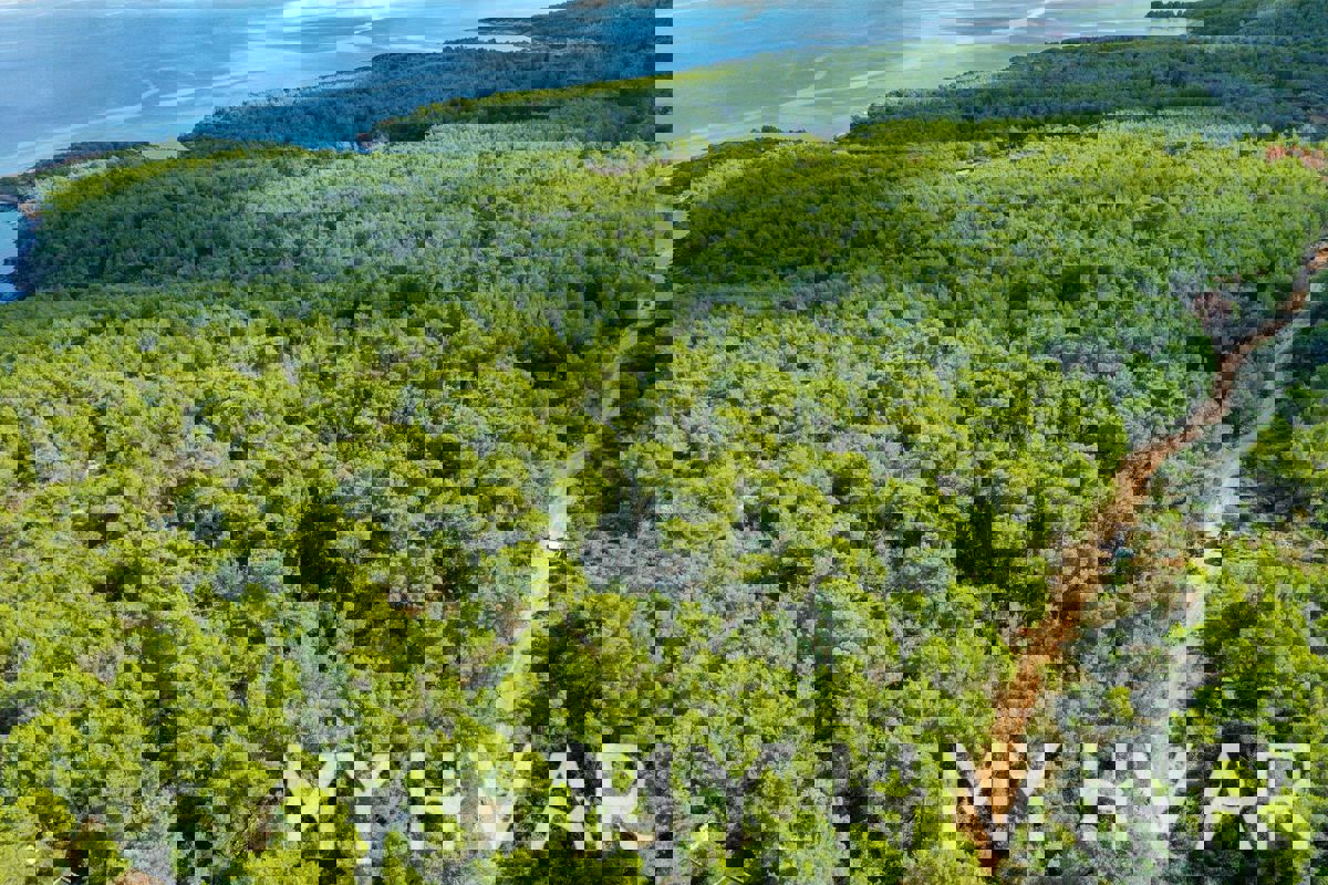 Terreno agricolo Rosohotnica a Basina